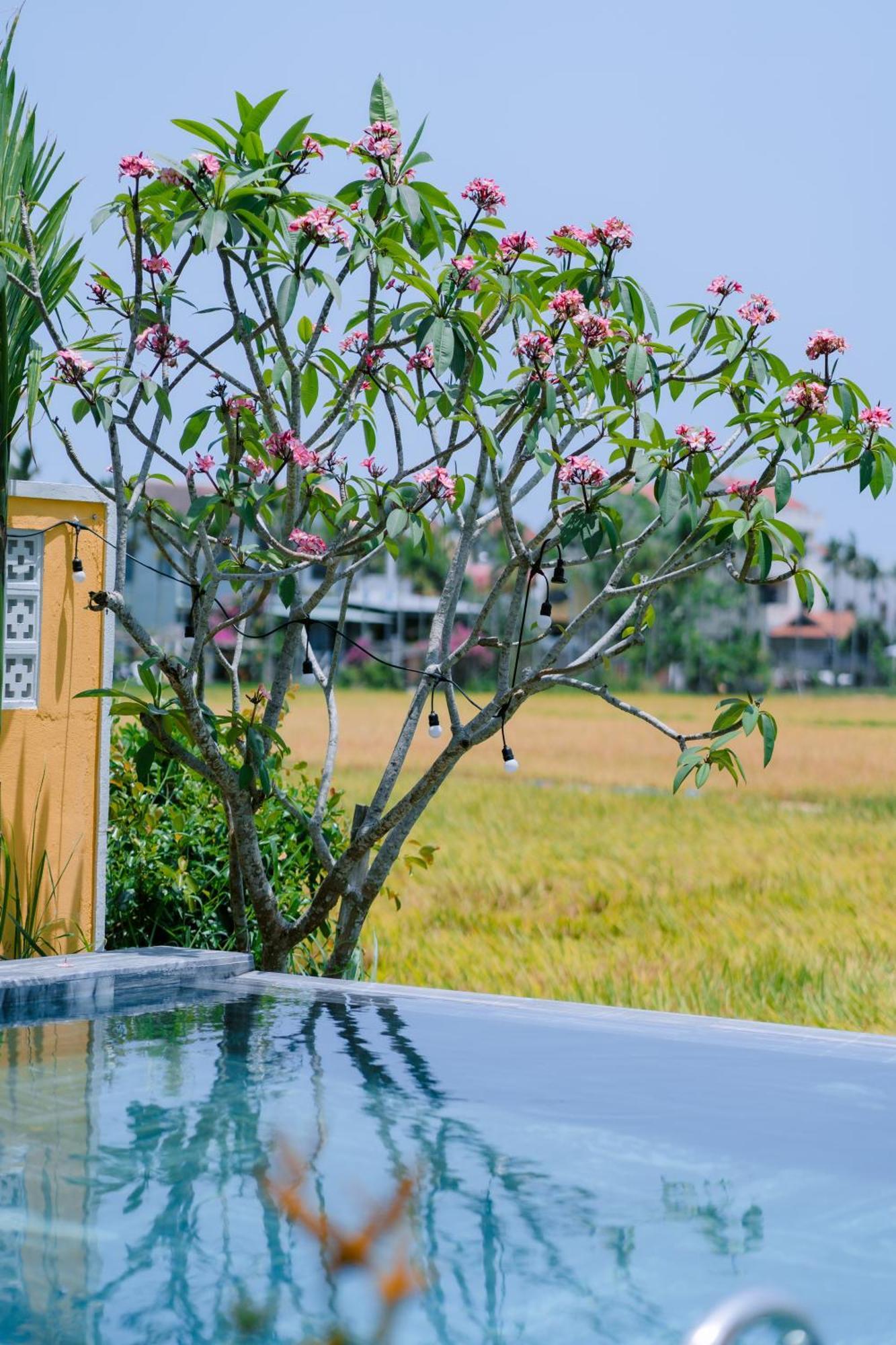 Bs Jade Home Hoi An Exterior foto